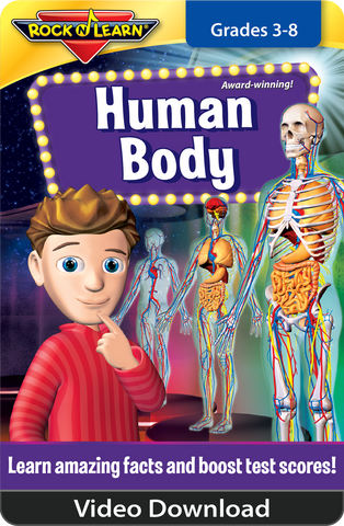 Human Body Video Download
